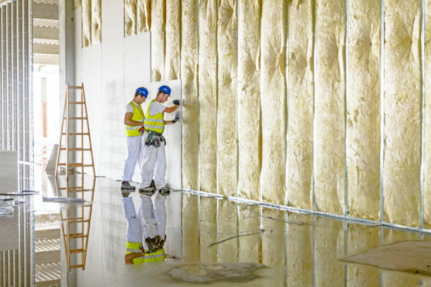 Best Residential Insulation in Kingston, NY